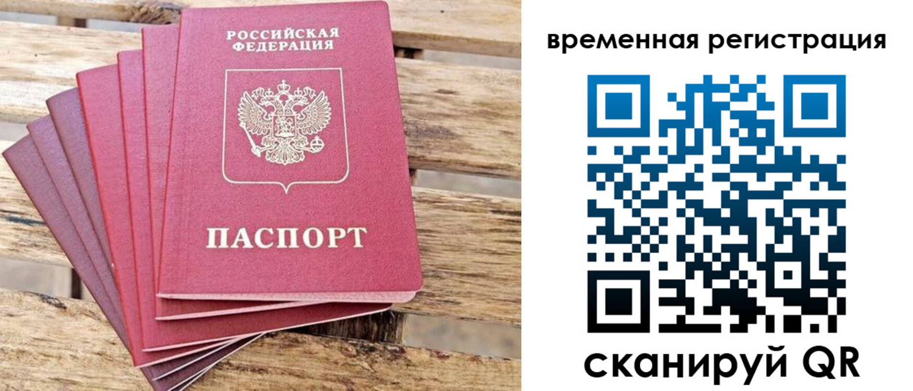купить прописку в Курской области